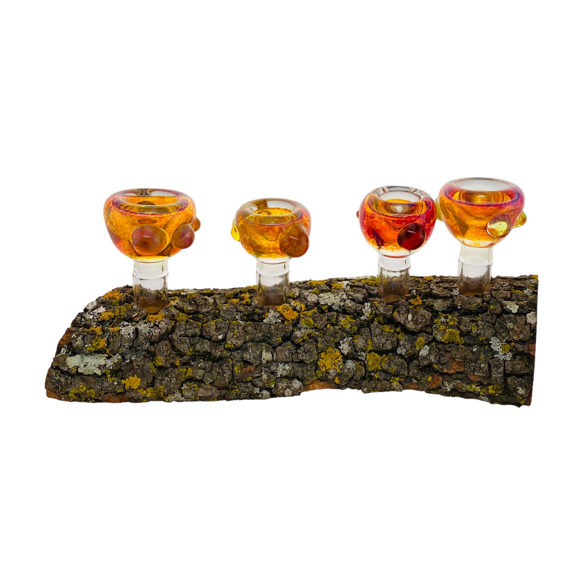 4 Hole Wood Display Stand Holder For 14mm Bong Bowl Pieces Or Quartz Bangers - Live Edge Douglas Fir