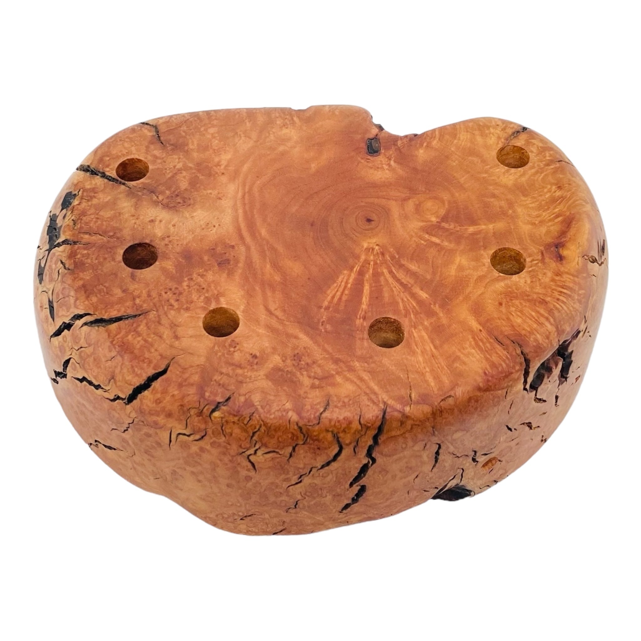 6 Hole Wood Display Stand Holder For 10mm Bong Bowl Pieces Or Quartz Bangers - Wild Fire Charred Manzanita Burl