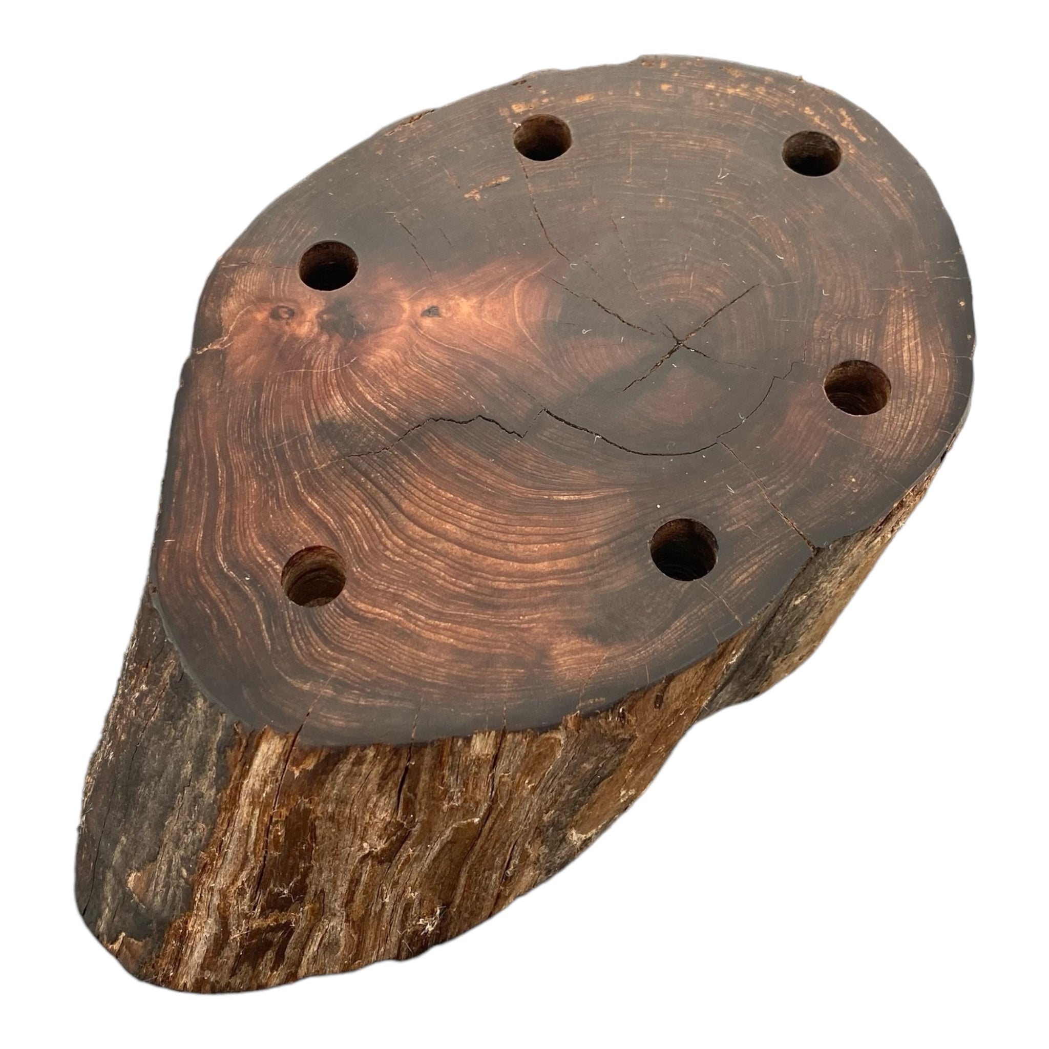 6 Hole Wood Display Stand Holder For 10mm Bong Bowl Pieces Or Quartz Bangers - Redwood Driftwood With Live Edge