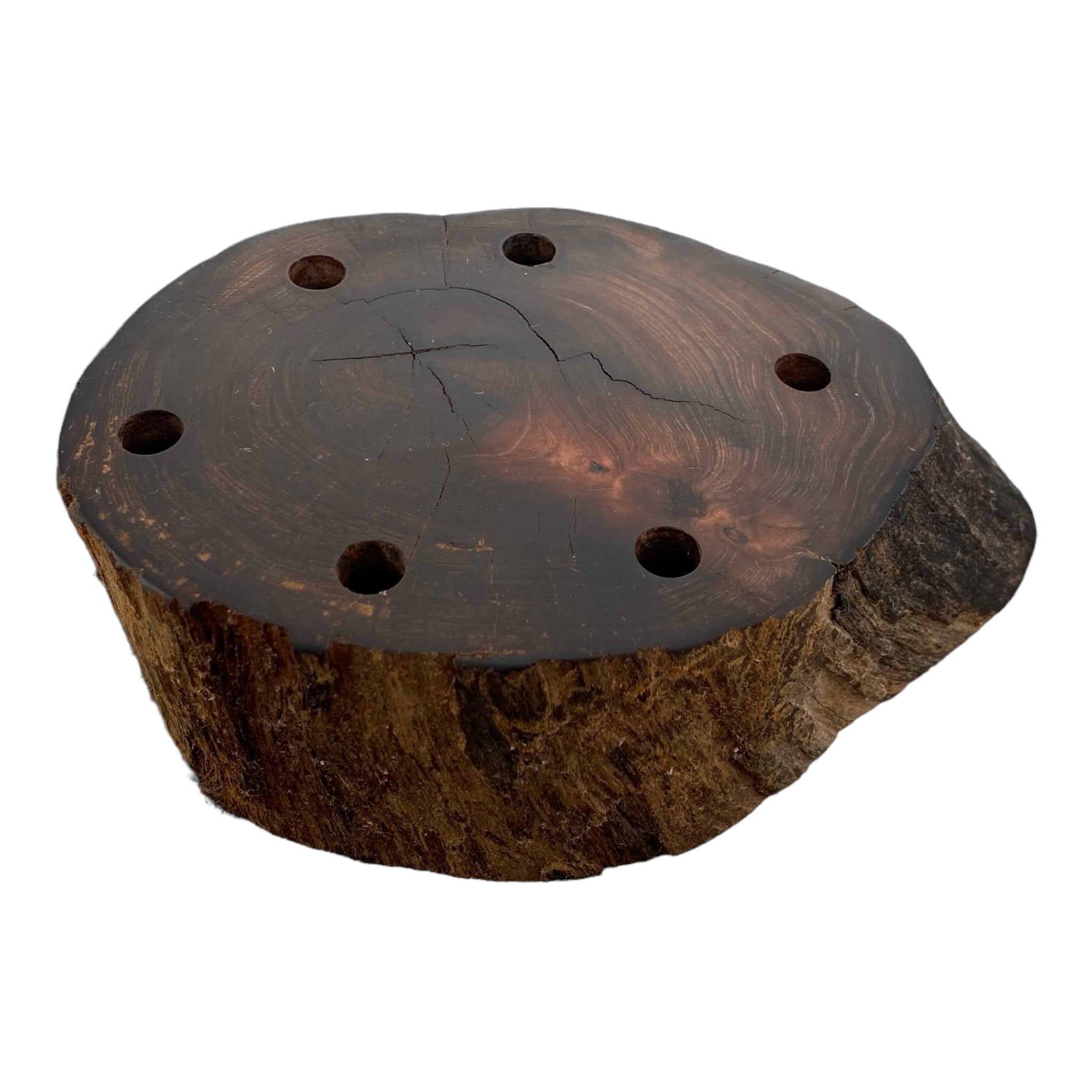 6 Hole Wood Display Stand Holder For 10mm Bong Bowl Pieces Or Quartz Bangers - Redwood Driftwood With Live Edge