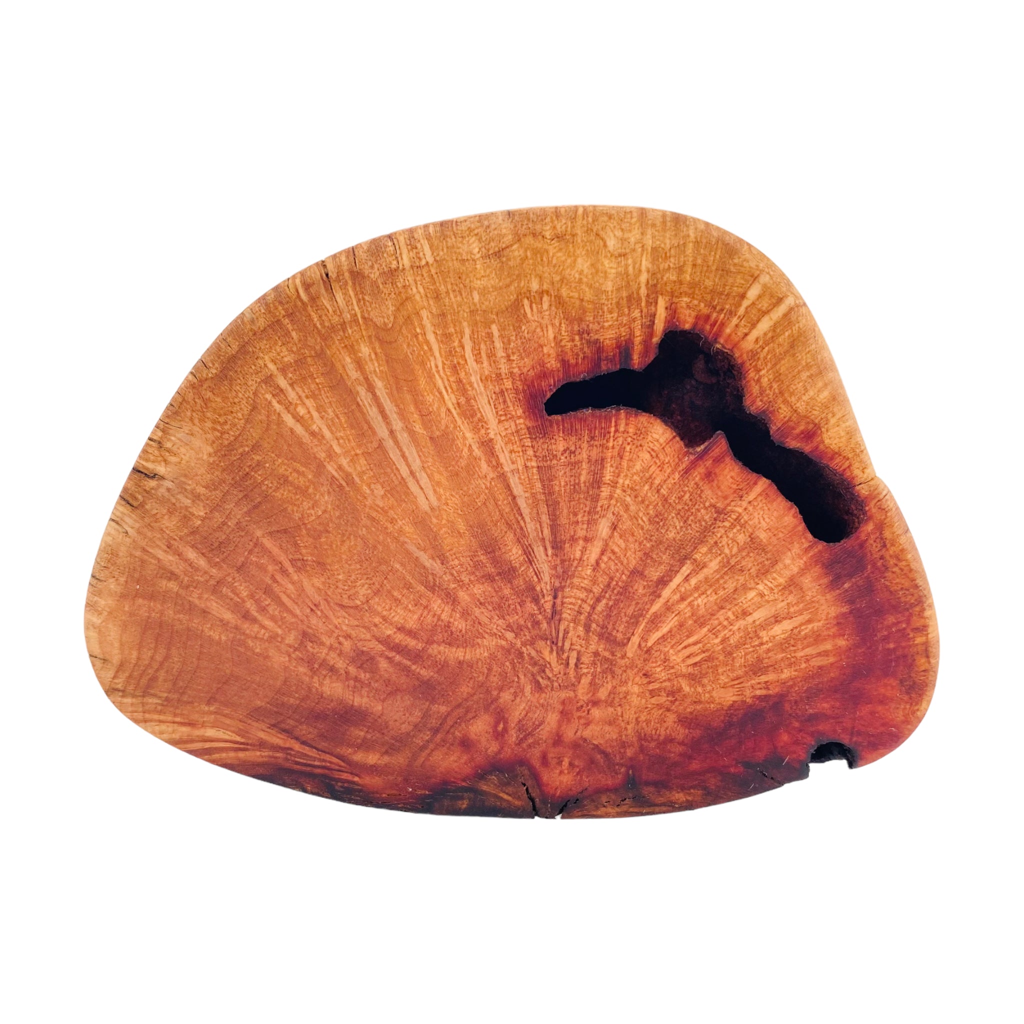 3 Hole Wood Display Stand Holder For 14mm Bong Bowl Pieces Or Quartz Bangers - Charred Manzanita Burl