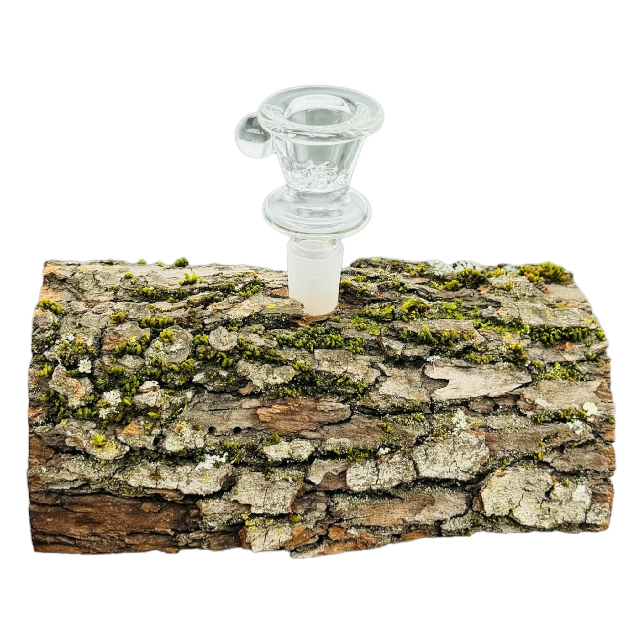 Single Hole Wood Display Stand Holder For 14mm Bong Bowl Pieces Or Quartz Bangers - Camopher Live Edge Log