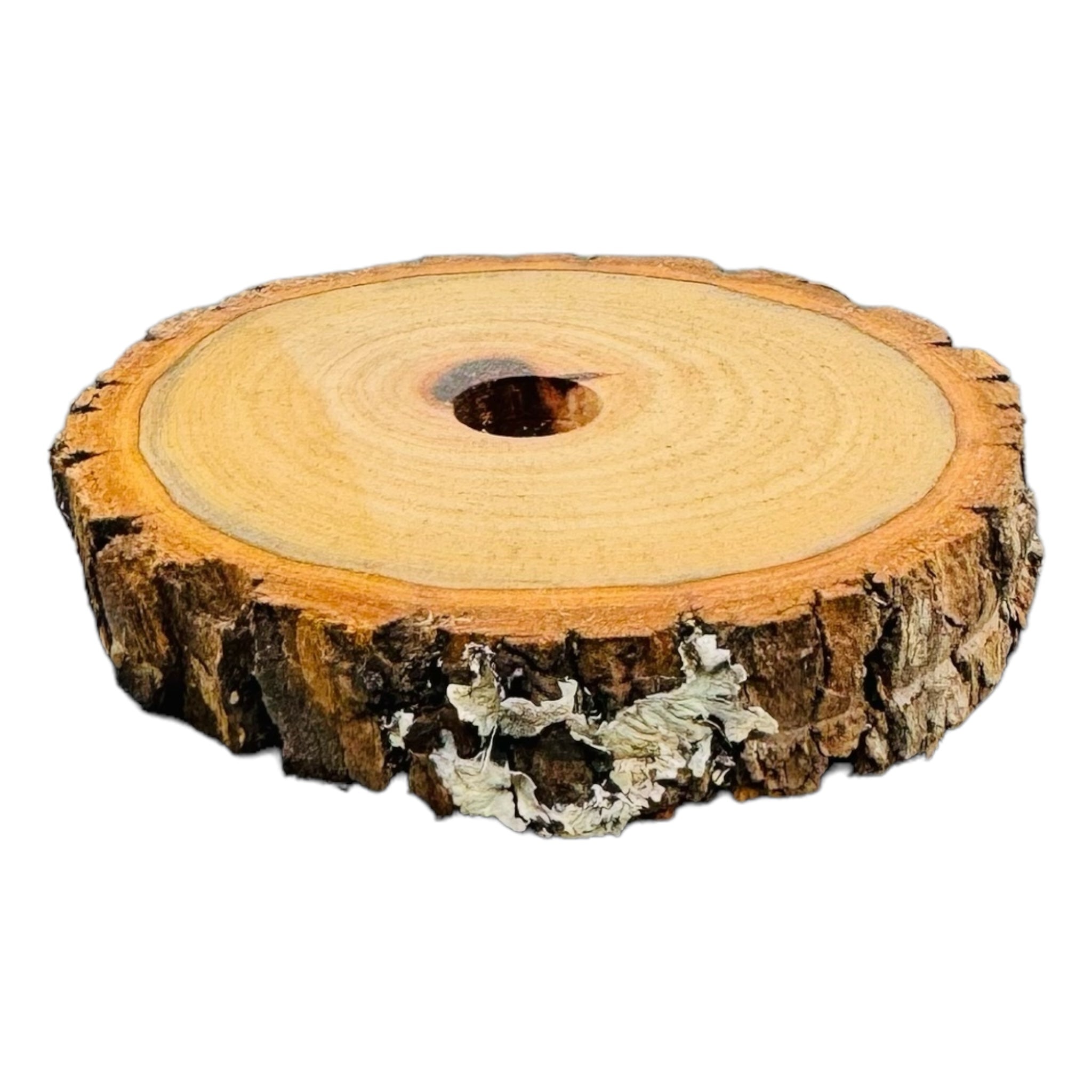 Single Hole Wood Display Stand Holder For 14mm Bong Bowl Pieces Or Quartz Bangers - Camphor Live Edge Round