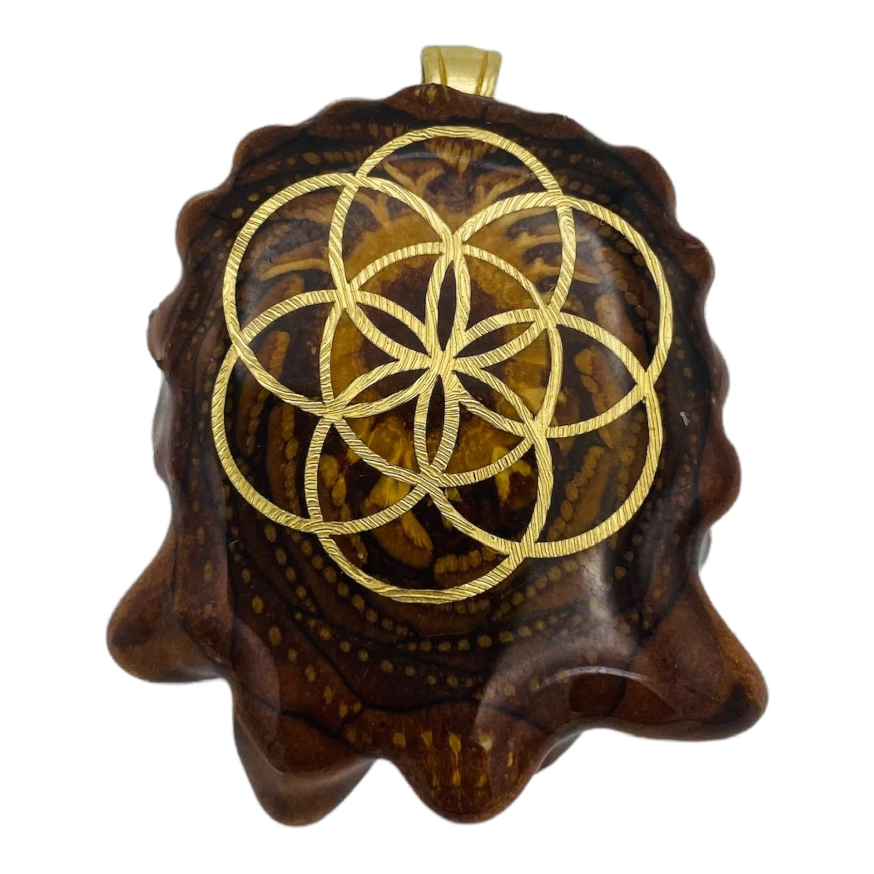 Third Eye Pinecones - Natural With Gold Seed Of Life - Medium