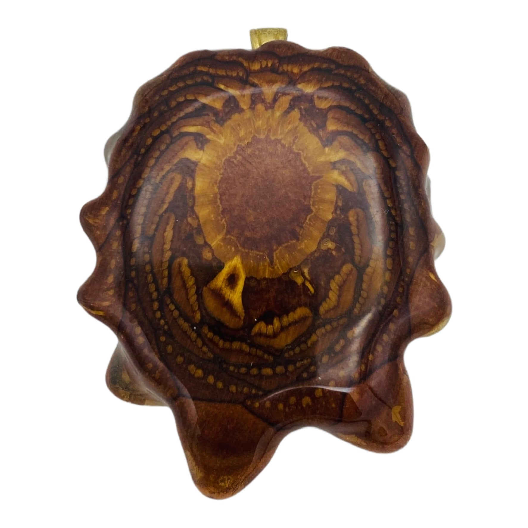 Third Eye Pinecones - Natural - Large