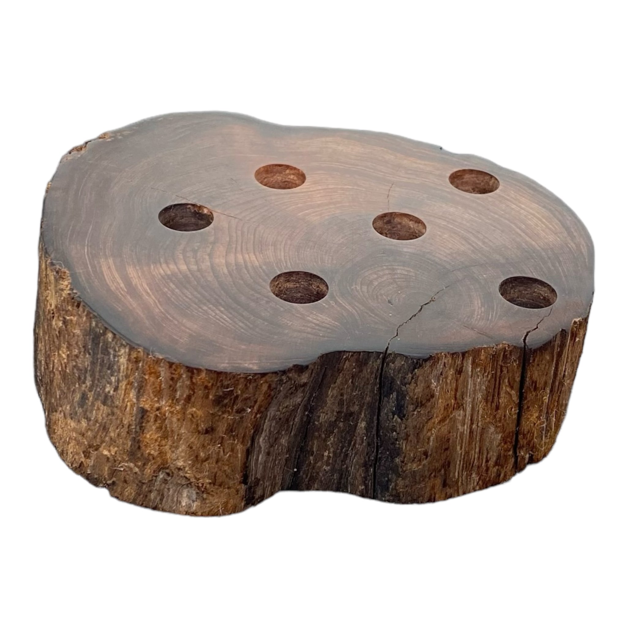 6 Hole Wood Display Stand Holder For 14mm Bong Bowl Pieces Or Quartz Bangers - Red Wood Burl With Live Edge