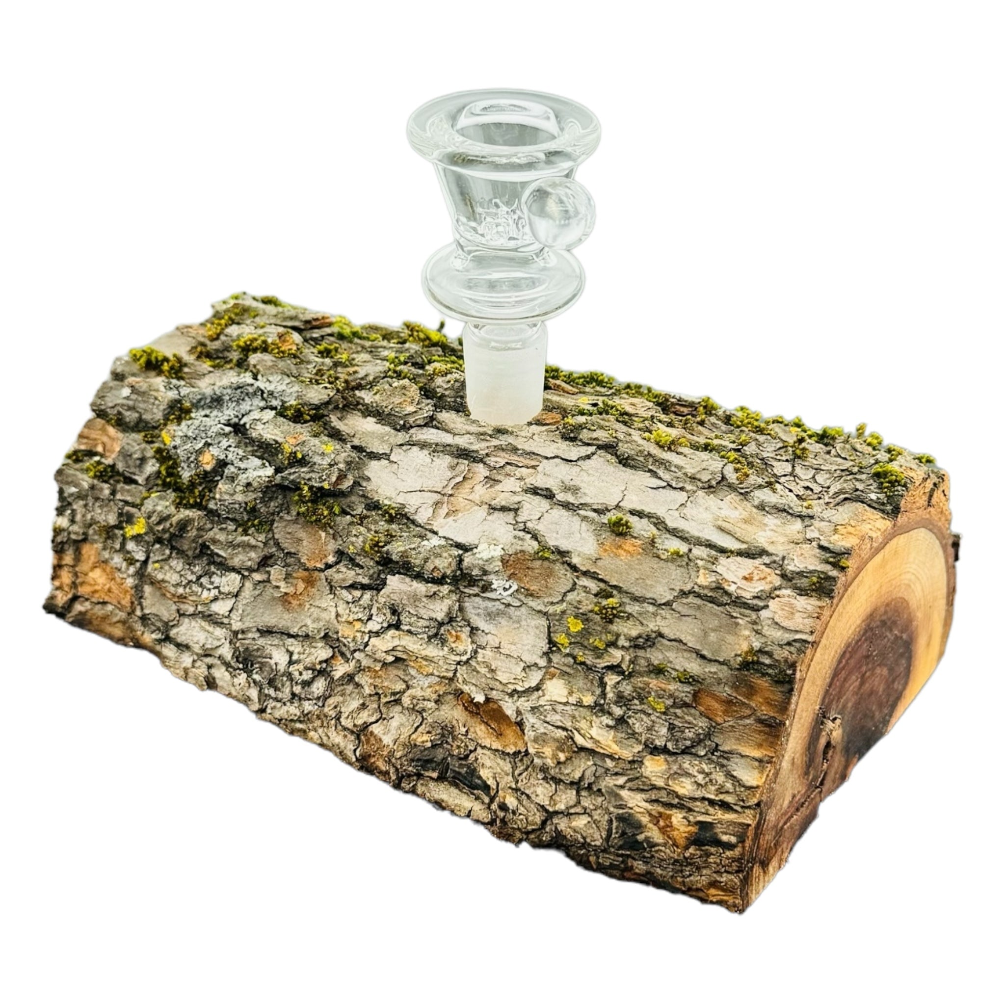 Single Hole Wood Display Stand Holder For 14mm Bong Bowl Pieces Or Quartz Bangers - Camopher Live Edge Log